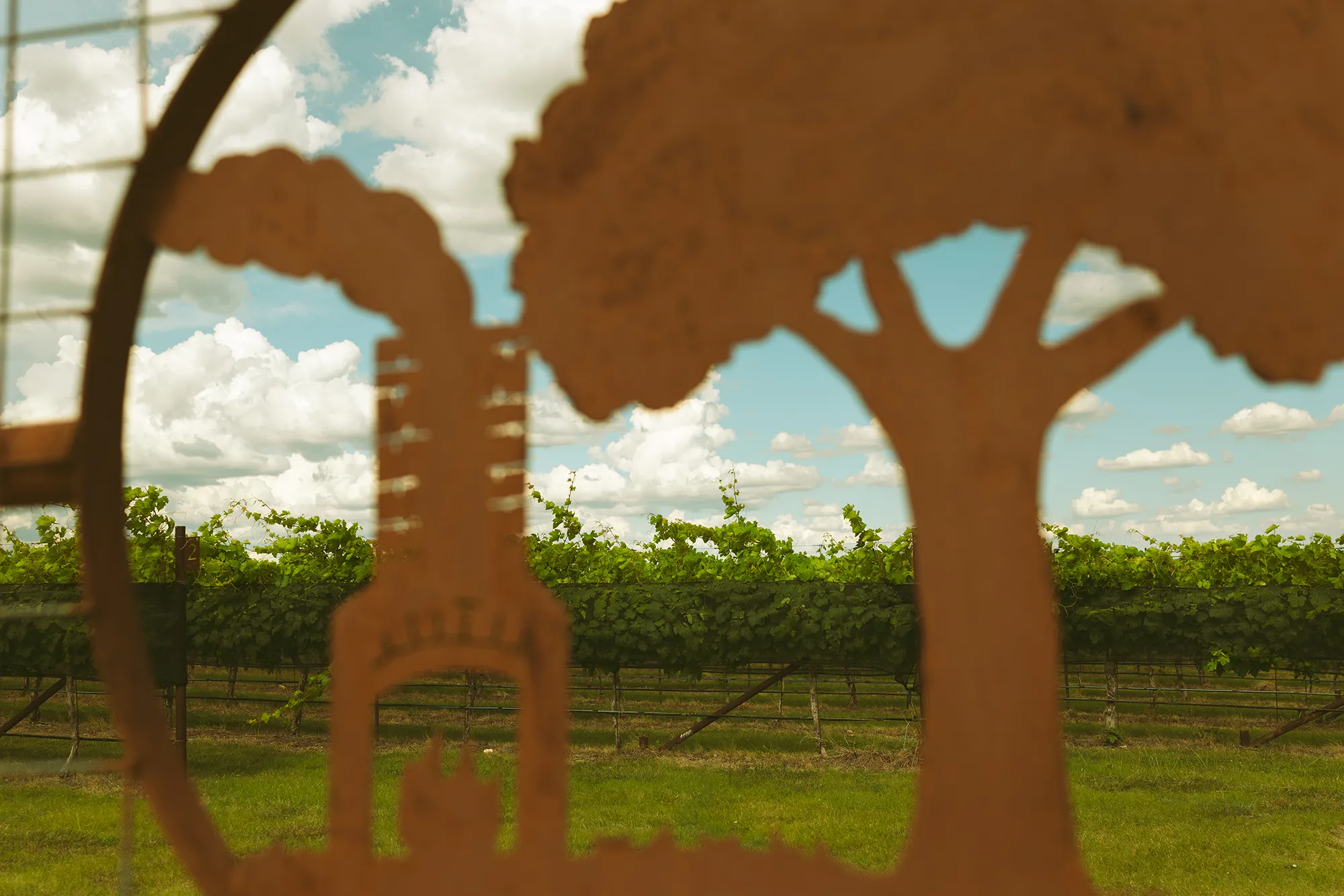 Signs by the vineyard at Nabors Creek