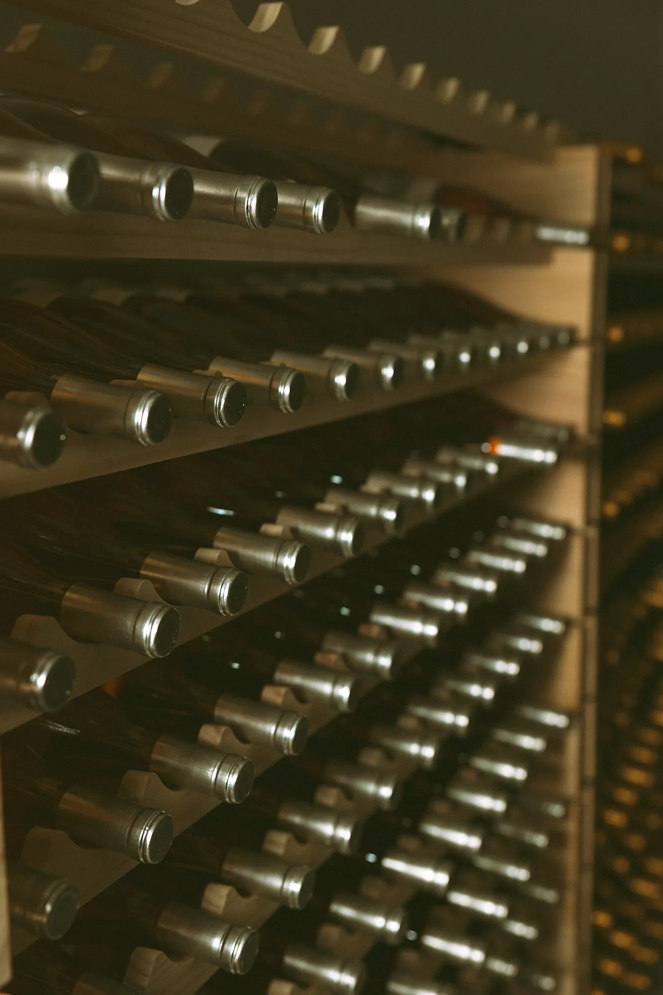 Cellar Storage at Nabors Creek